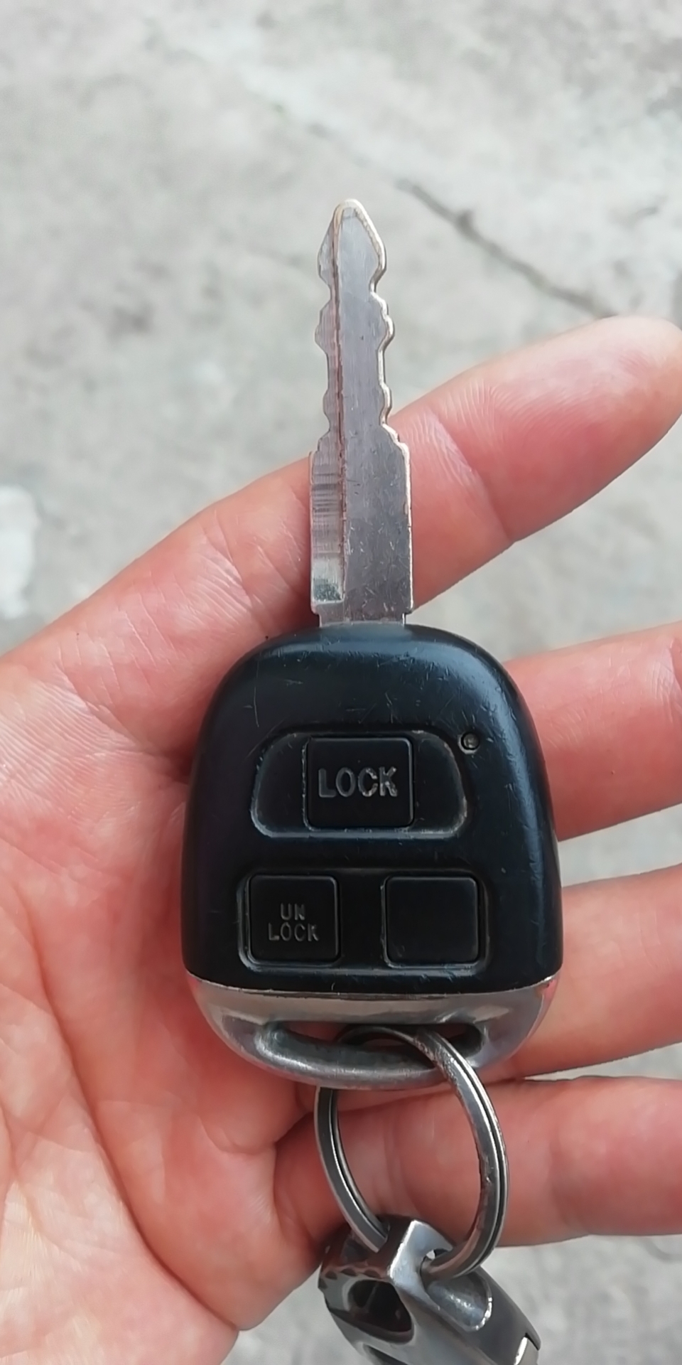 今天在县城掉了一把钥匙，希望有人捡到954 / 作者:论坛小编01 / 帖子ID:273077