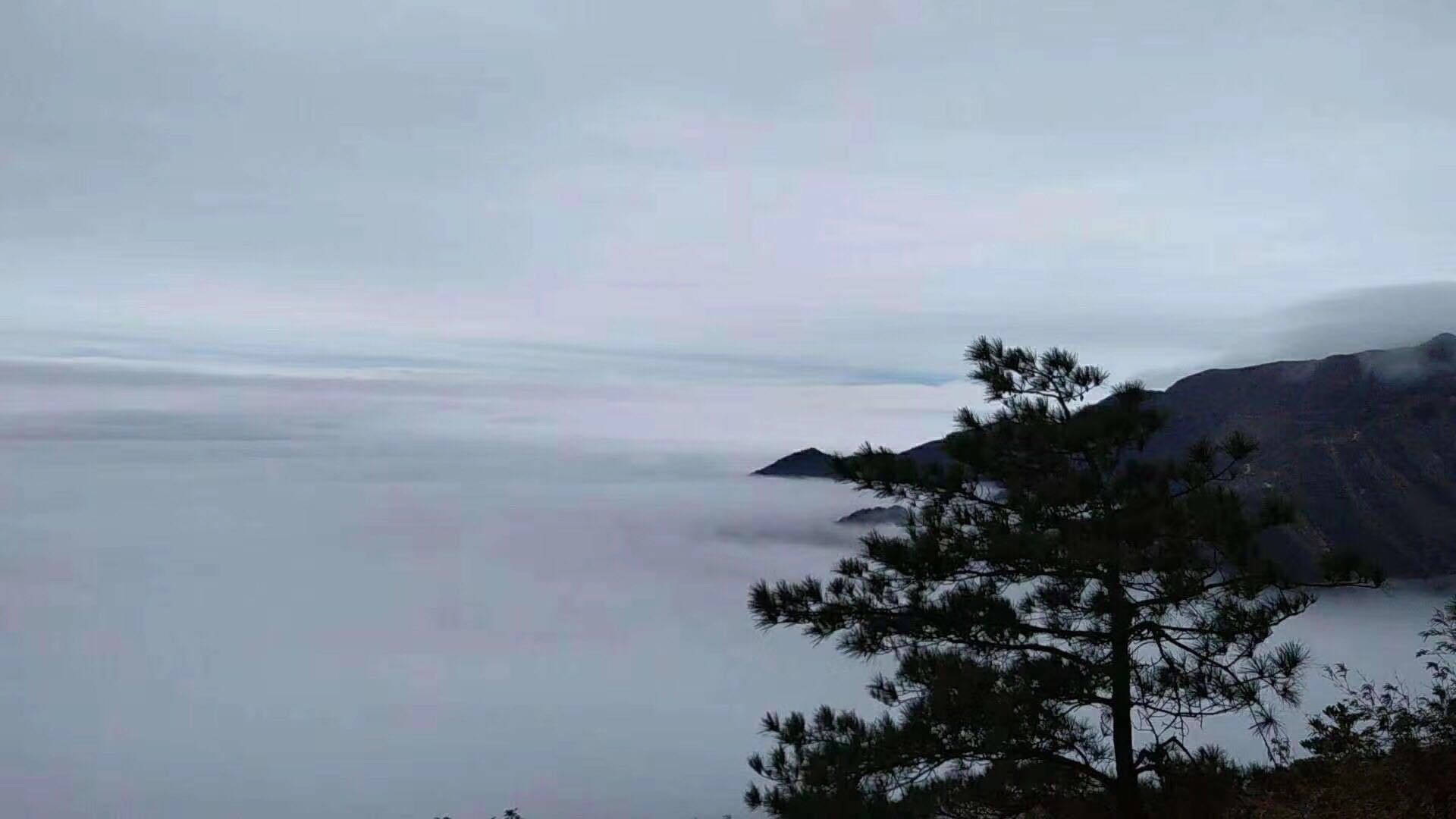银殿山风景671 / 作者:形腿望舞 / 帖子ID:273326