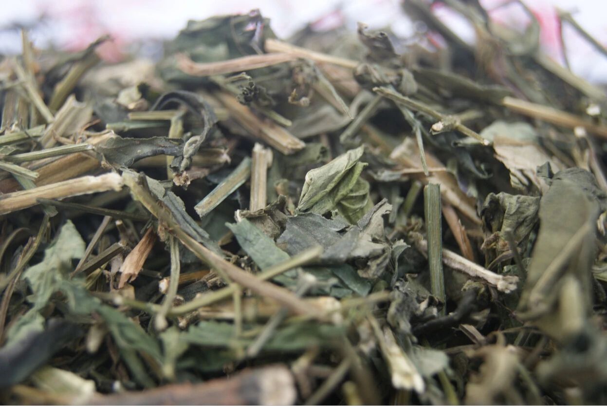 它被称作“苦胆草”，用它泡水喝清热消炎，赶跑风热感冒，舒服一整夏337 / 作者:雨云儿 / 帖子ID:273454
