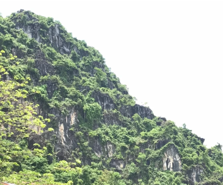 一起去爬山吗？热播剧《隐秘的角落》高能取景地就在广西！62 / 作者:Killua / 帖子ID:273583