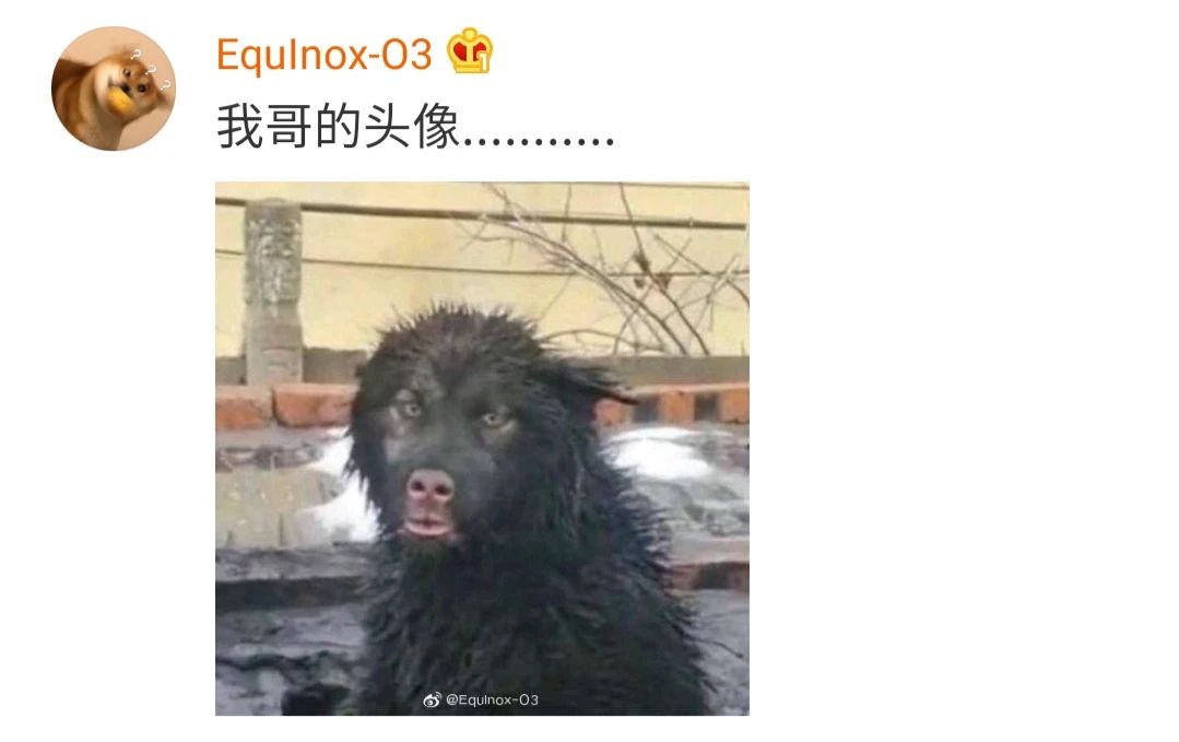 “头像的重要性到底有多大？！”哈哈哈哈！求求你删了我吧718 / 作者:该做的事情 / 帖子ID:273585