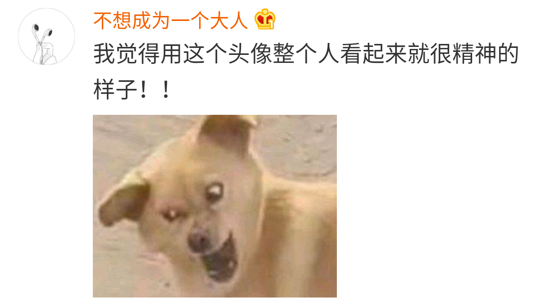 “头像的重要性到底有多大？！”哈哈哈哈！求求你删了我吧748 / 作者:该做的事情 / 帖子ID:273585