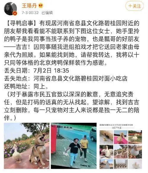 鸭鸭有什么错！王珞丹深夜发布寻鸭启事，结果虐心... 公安已介入调查102 / 作者:yujuan / 帖子ID:273678