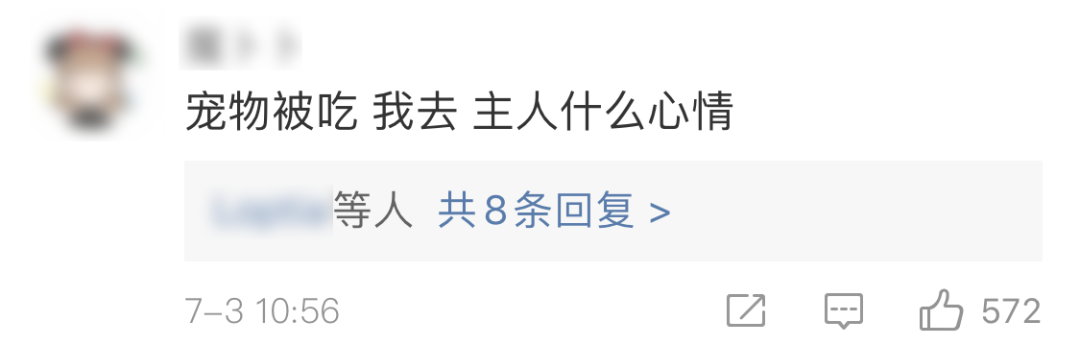 鸭鸭有什么错！王珞丹深夜发布寻鸭启事，结果虐心... 公安已介入调查428 / 作者:yujuan / 帖子ID:273678