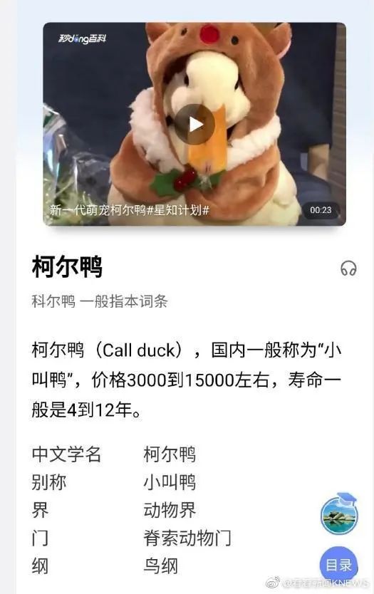 鸭鸭有什么错！王珞丹深夜发布寻鸭启事，结果虐心... 公安已介入调查735 / 作者:yujuan / 帖子ID:273678