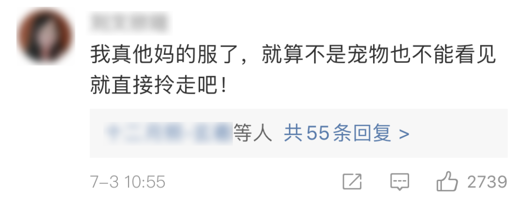 鸭鸭有什么错！王珞丹深夜发布寻鸭启事，结果虐心... 公安已介入调查256 / 作者:yujuan / 帖子ID:273678