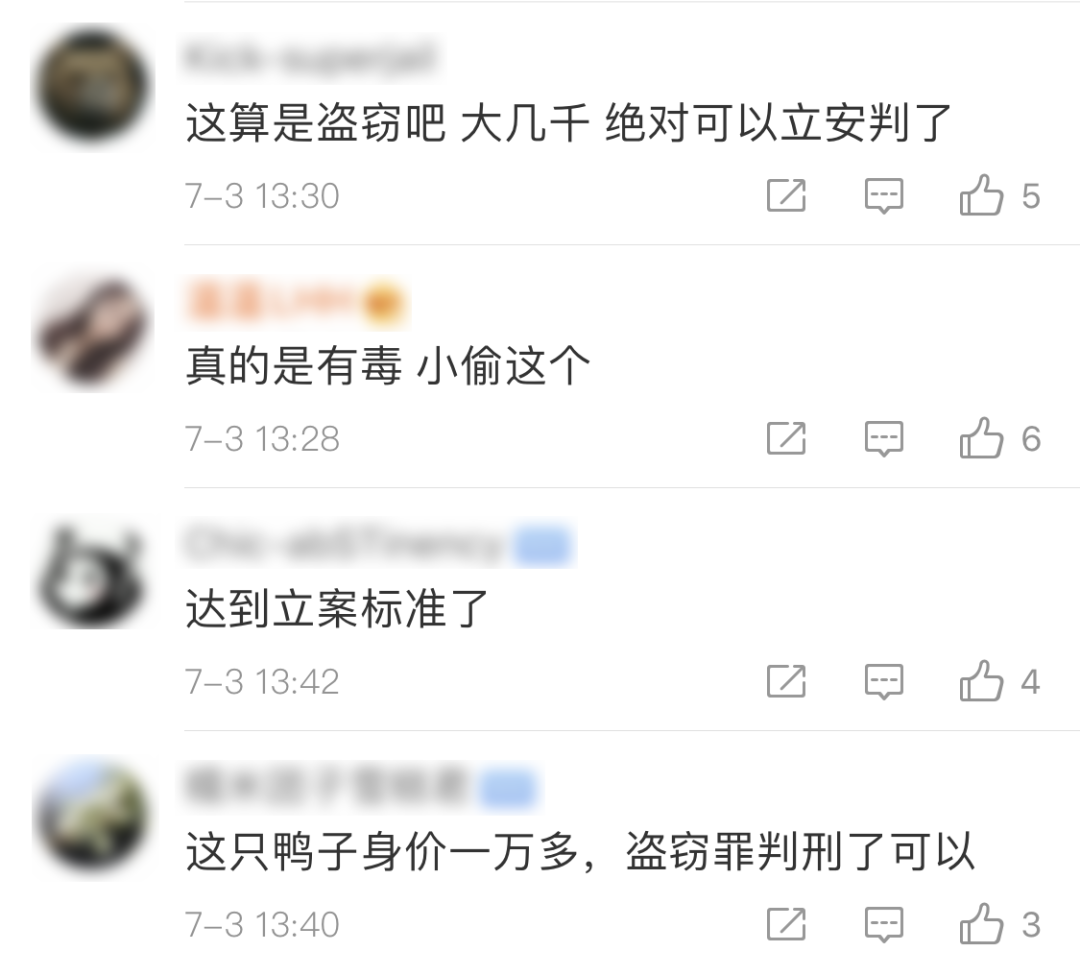 鸭鸭有什么错！王珞丹深夜发布寻鸭启事，结果虐心... 公安已介入调查822 / 作者:yujuan / 帖子ID:273678