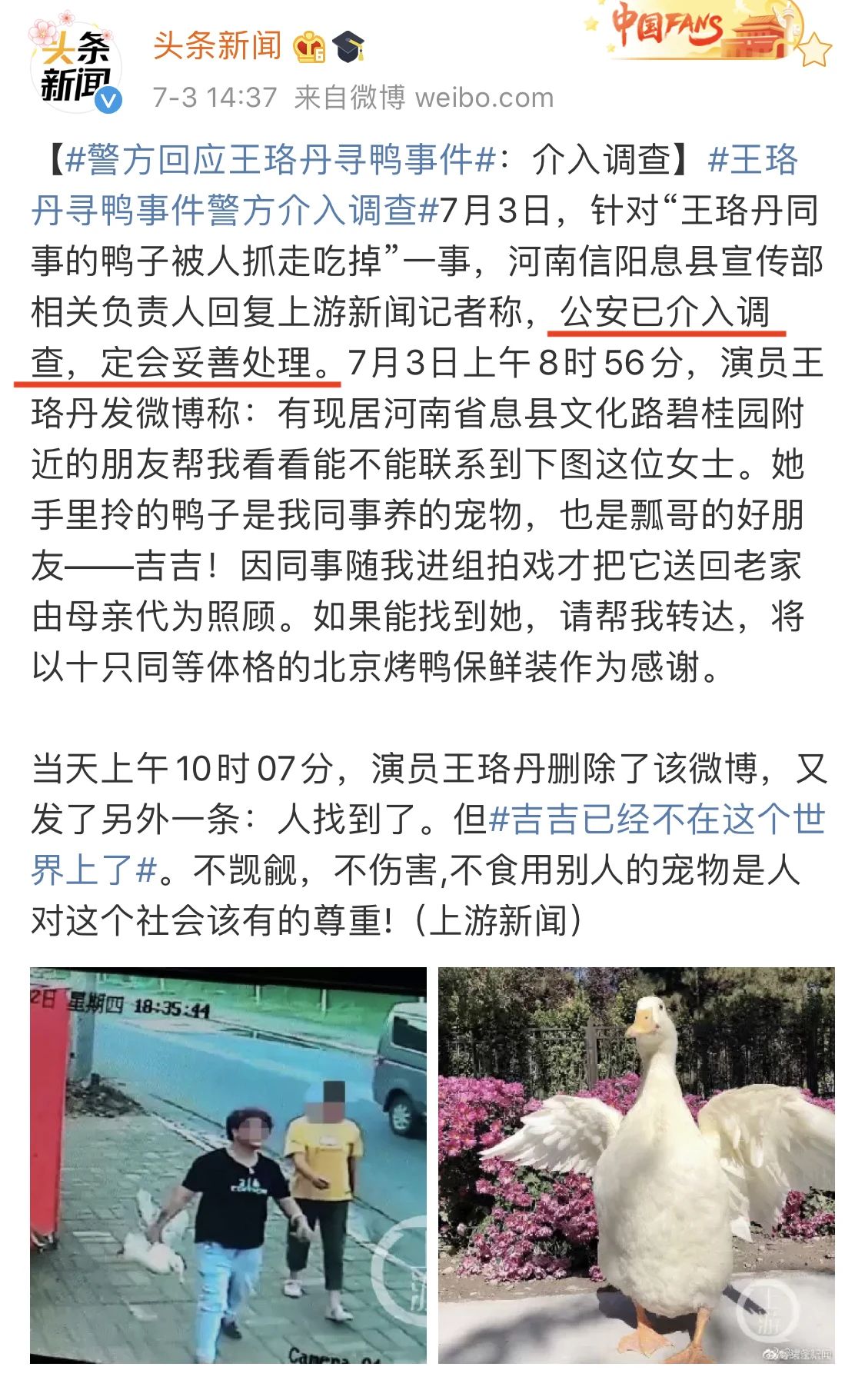 鸭鸭有什么错！王珞丹深夜发布寻鸭启事，结果虐心... 公安已介入调查143 / 作者:yujuan / 帖子ID:273678