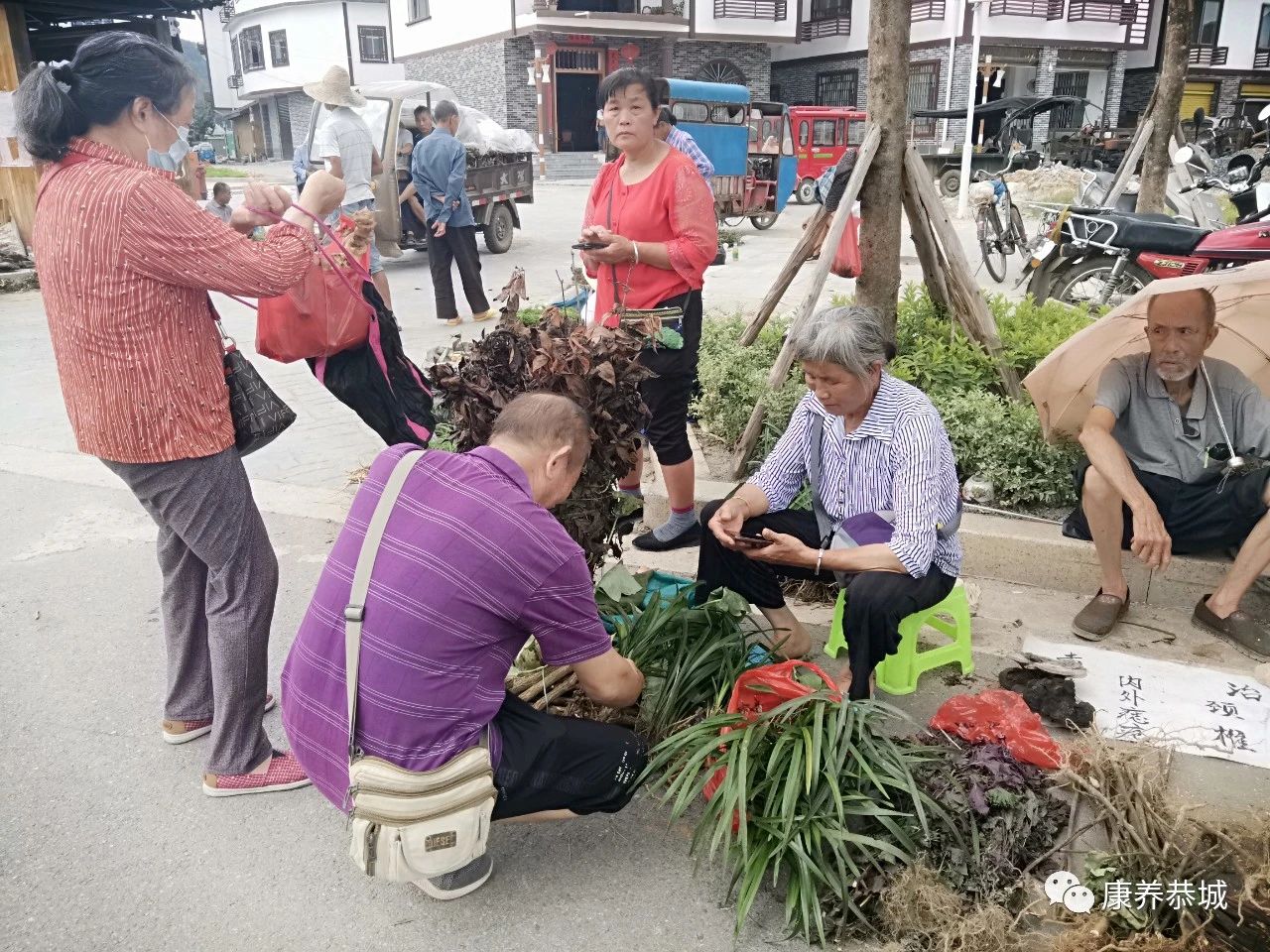 广西恭城瑶乡“大端午”药市：上好药材交易热闹173 / 作者:華大夫 / 帖子ID:273803