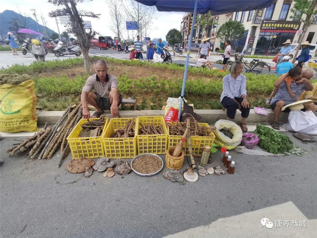 广西恭城瑶乡“大端午”药市：上好药材交易热闹554 / 作者:華大夫 / 帖子ID:273803
