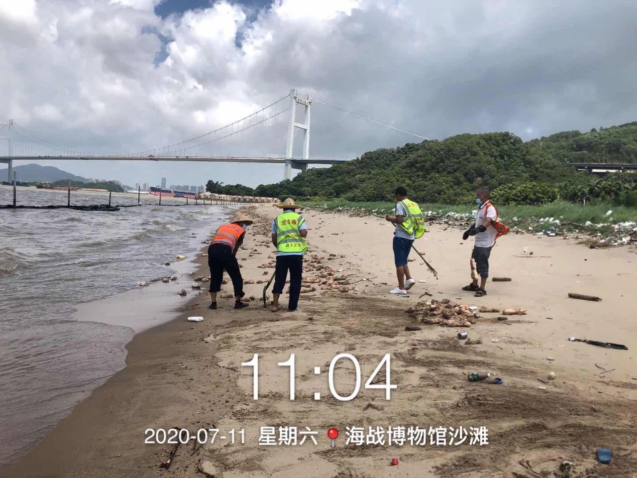 海滩惊现大量猪蹄！590 / 作者:宇宙无限 / 帖子ID:274017