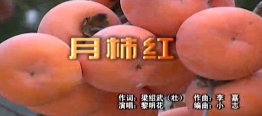 月柿红--恭城瑶族自治县20周年县庆歌曲回顾602 / 作者:恭城盛唐广告 / 帖子ID:274479