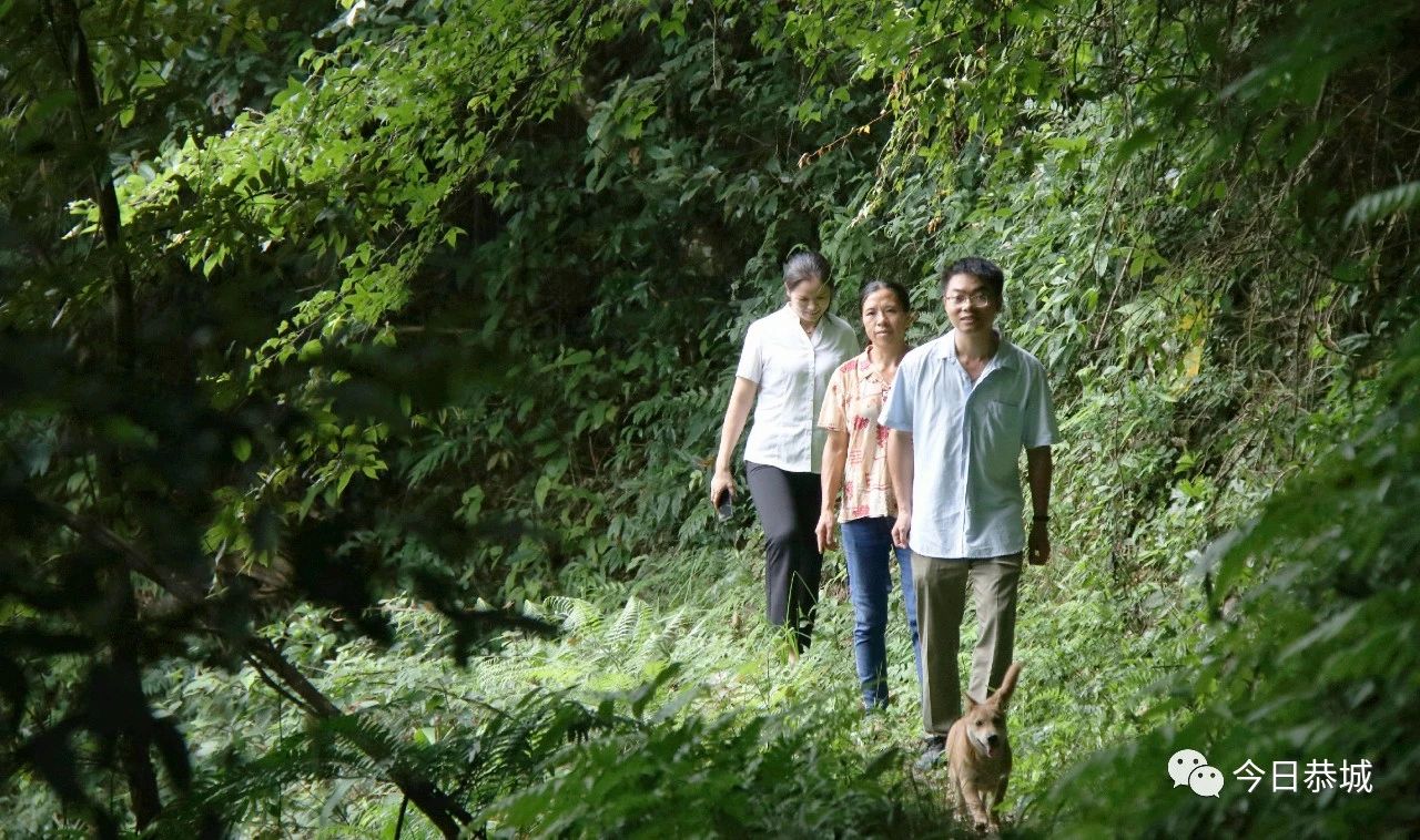 【恭城】修好扶贫道路  让群众走上致富路779 / 作者:论坛小编04 / 帖子ID:274922