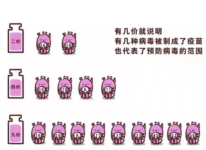 只打 HPV 疫苗还不够！关于 HPV 的 11 个误区，每位女性都要知道788 / 作者:等风十里 / 帖子ID:275483