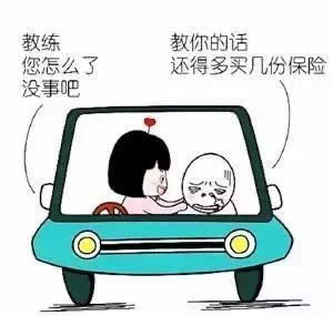 “以前驾校有棵树，我去了就没了”996 / 作者:刘冠华 / 帖子ID:275667