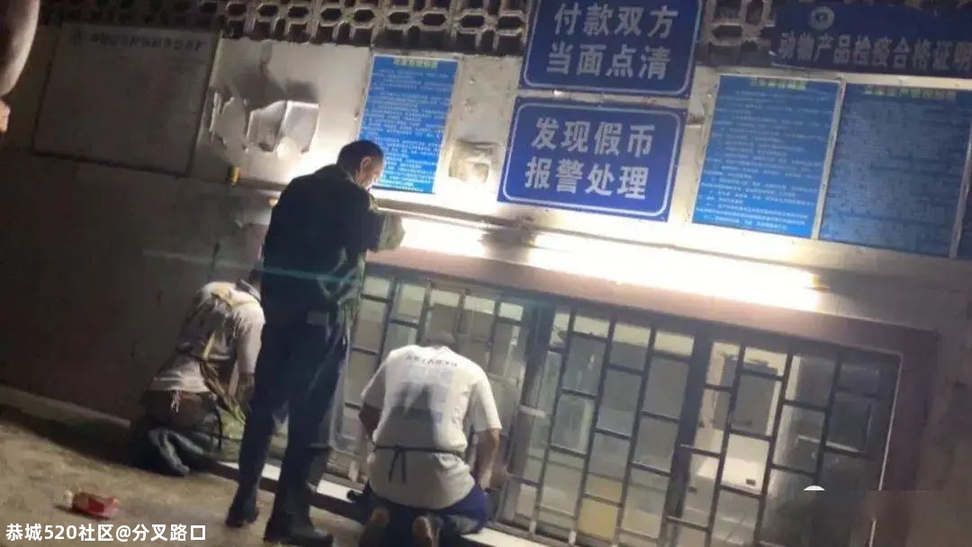 南宁一屠宰厂现“半蹲式窗口”，官方回应221 / 作者:分叉路口 / 帖子ID:275943