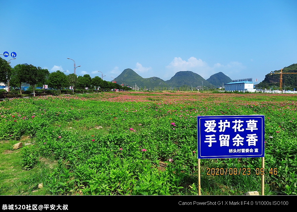 为迎接县庆30周年动车站一带正在加紧施工面貌大变。197 / 作者:平安大叔 / 帖子ID:275987