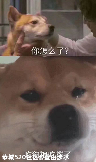 猝不及防！微信又调红包上限了！16 / 作者:登山涉水 / 帖子ID:276032