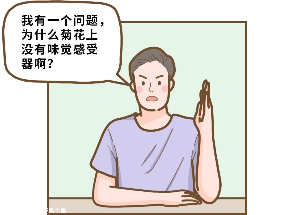 为什么菊花会被辣到，却尝不出酸甜苦咸？445 / 作者:等风十里 / 帖子ID:276120