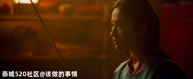 《花木兰》：戏里戏外女人撑起整片天207 / 作者:该做的事情 / 帖子ID:276541
