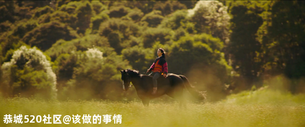 《花木兰》：戏里戏外女人撑起整片天70 / 作者:该做的事情 / 帖子ID:276541