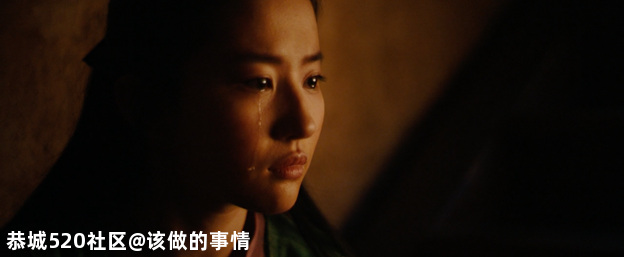 《花木兰》：戏里戏外女人撑起整片天731 / 作者:该做的事情 / 帖子ID:276541