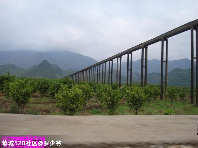 莲花的蓝洞水库风景还不错嘞啵226 / 作者:罗少爷 / 帖子ID:276966