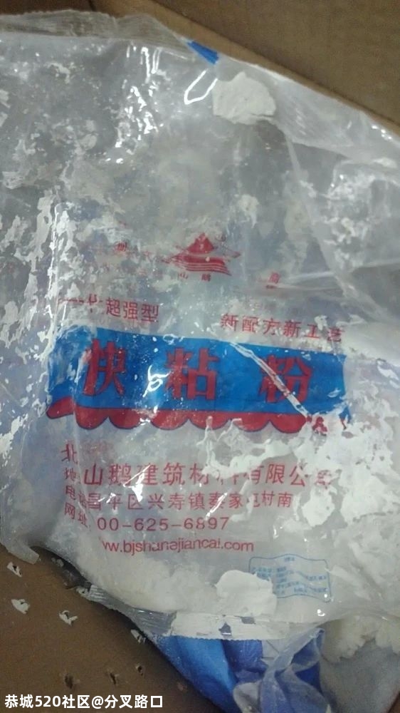 太恶劣！幼犬被裹满石膏遗弃路边，多处骨折已失明875 / 作者:分叉路口 / 帖子ID:277118