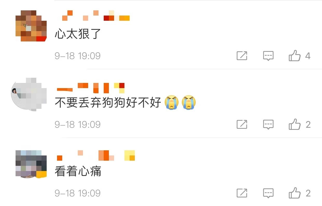 太恶劣！幼犬被裹满石膏遗弃路边，多处骨折已失明254 / 作者:分叉路口 / 帖子ID:277118