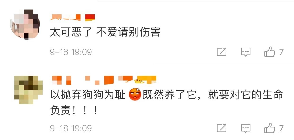 太恶劣！幼犬被裹满石膏遗弃路边，多处骨折已失明507 / 作者:分叉路口 / 帖子ID:277118