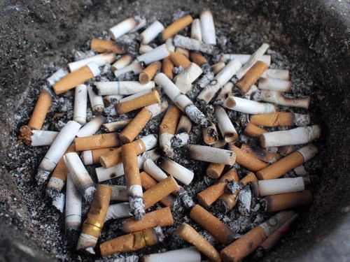 烟头不落地，恭城更美丽！捡烟头换鸡蛋活动开启，一起为县庆助力！330 / 作者:论坛小编01 / 帖子ID:277143