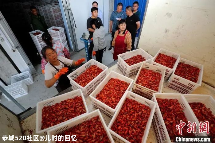 看饿了！全国首个辣条专业班开课350 / 作者:儿时的回忆 / 帖子ID:277176