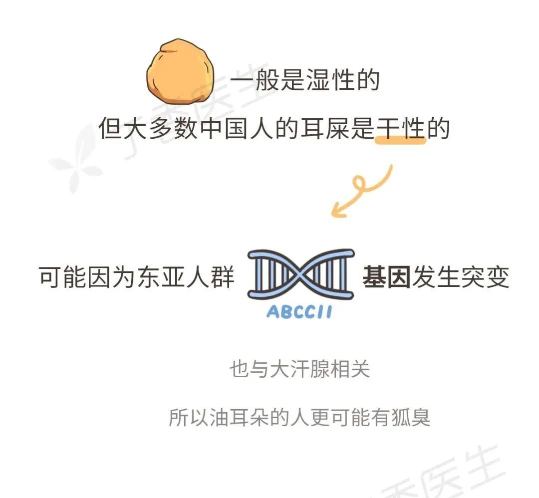 本是耳朵里的好东西，却有人每天掏个不停966 / 作者:等风十里 / 帖子ID:277230