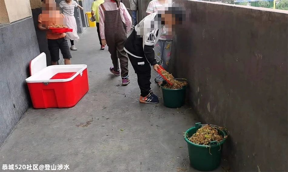 小学营养餐“溢出垃圾桶”，校方回应325 / 作者:登山涉水 / 帖子ID:277524