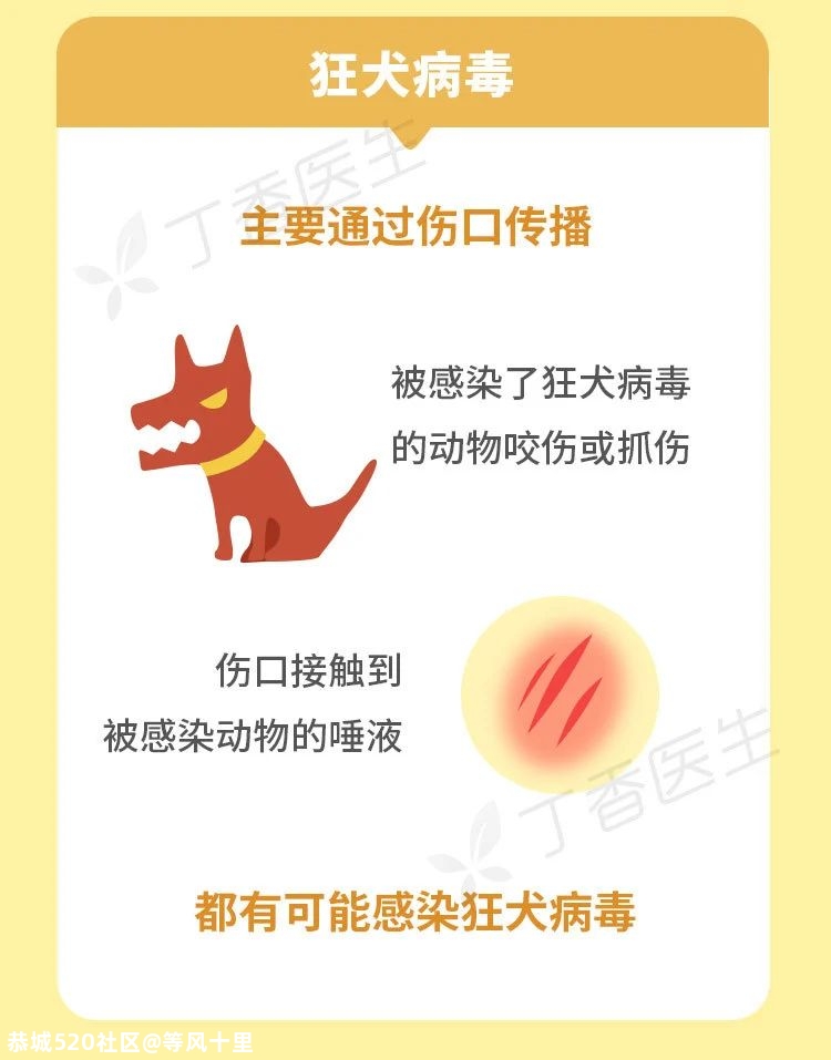 被猫狗抓伤，没出血也该打狂犬疫苗631 / 作者:等风十里 / 帖子ID:277550
