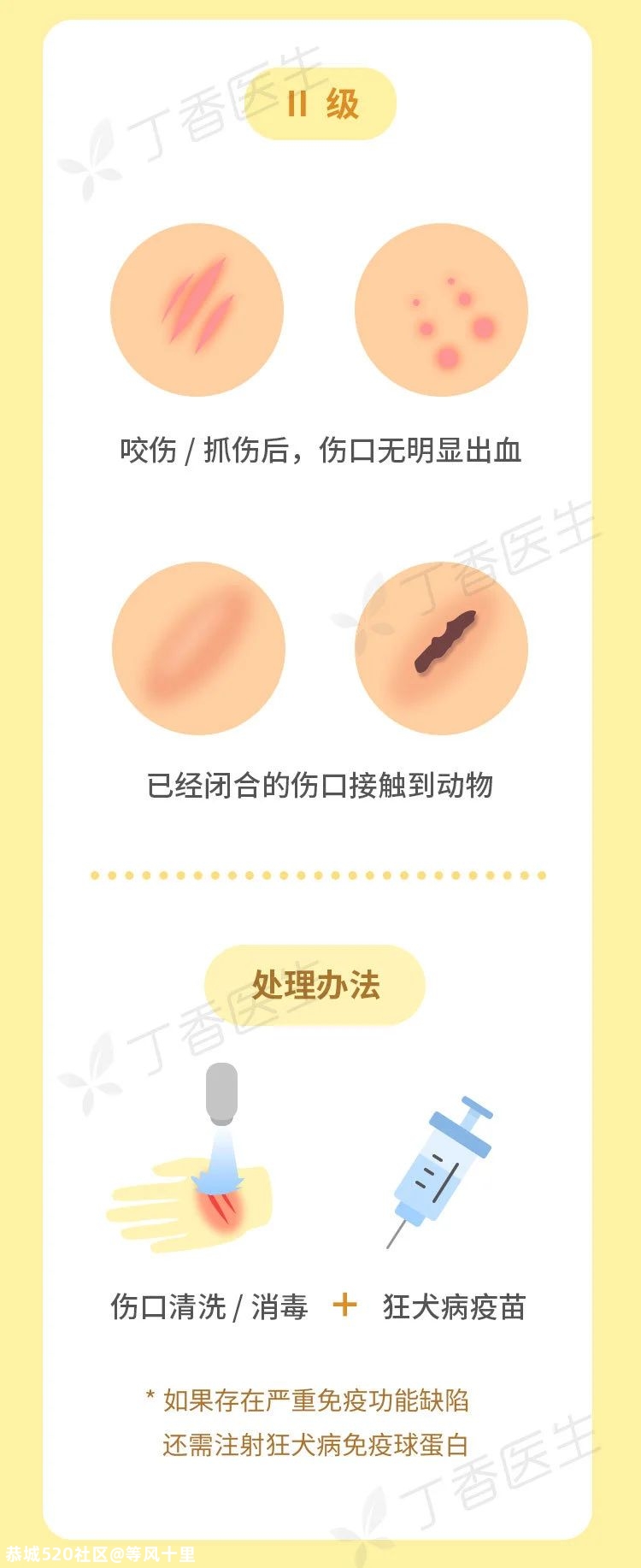 被猫狗抓伤，没出血也该打狂犬疫苗761 / 作者:等风十里 / 帖子ID:277550