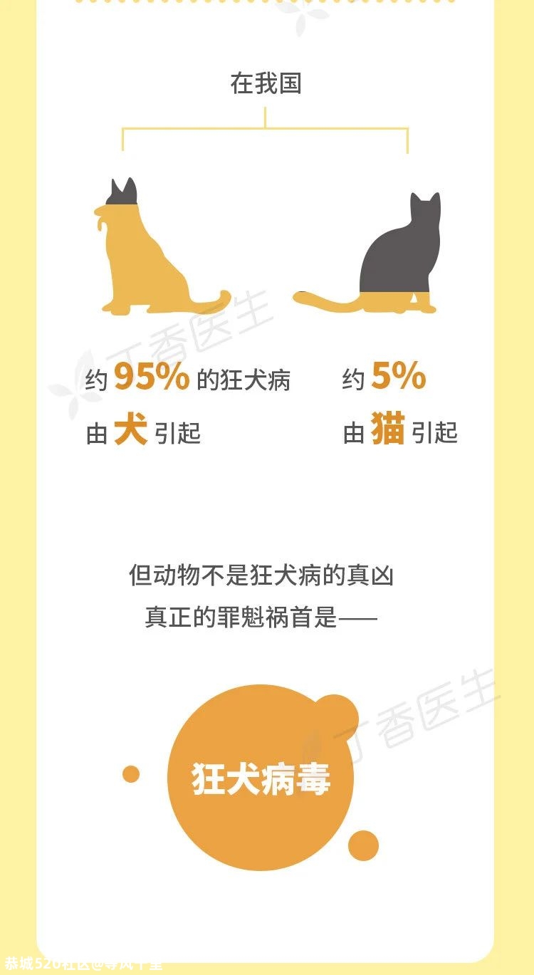 被猫狗抓伤，没出血也该打狂犬疫苗423 / 作者:等风十里 / 帖子ID:277550