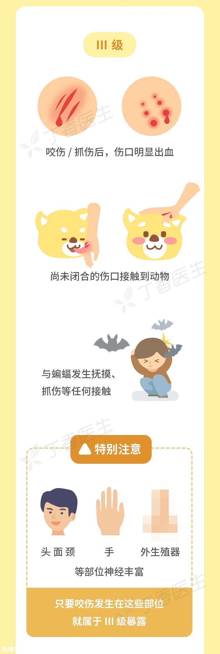 被猫狗抓伤，没出血也该打狂犬疫苗129 / 作者:等风十里 / 帖子ID:277550