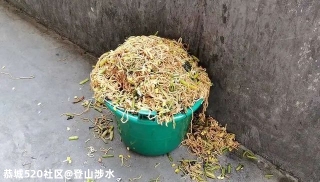 “小学营养餐溢出垃圾桶”，不能只怪学生浪费180 / 作者:登山涉水 / 帖子ID:277568