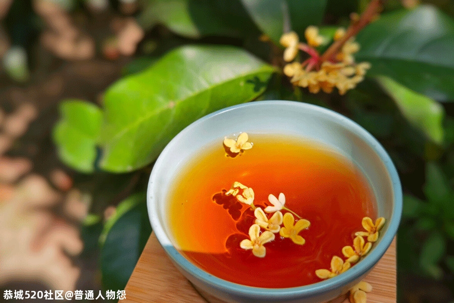 人闲桂花落，此中有静寂！261 / 作者:普通人物怨 / 帖子ID:277860