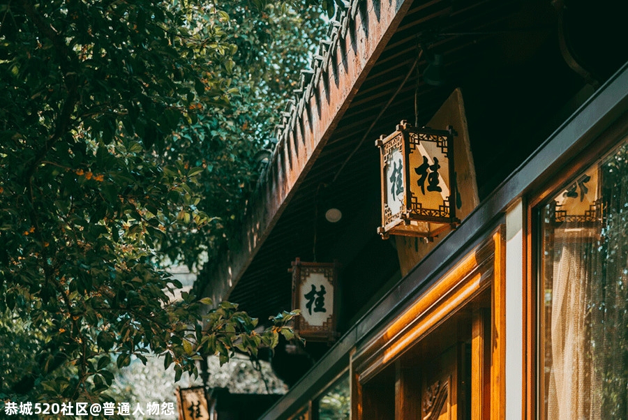 人闲桂花落，此中有静寂！356 / 作者:普通人物怨 / 帖子ID:277860
