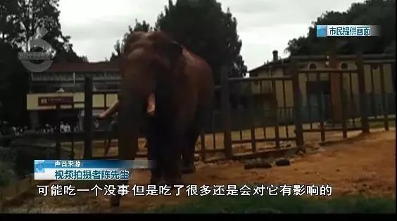 国庆结束最可怕的事情发生了：求求你，别发朋友圈了！794 / 作者:華大夫 / 帖子ID:278260