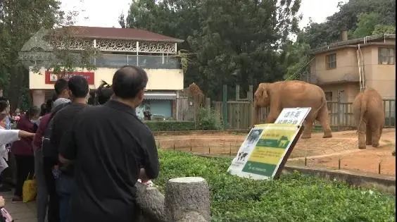 国庆结束最可怕的事情发生了：求求你，别发朋友圈了！313 / 作者:華大夫 / 帖子ID:278260