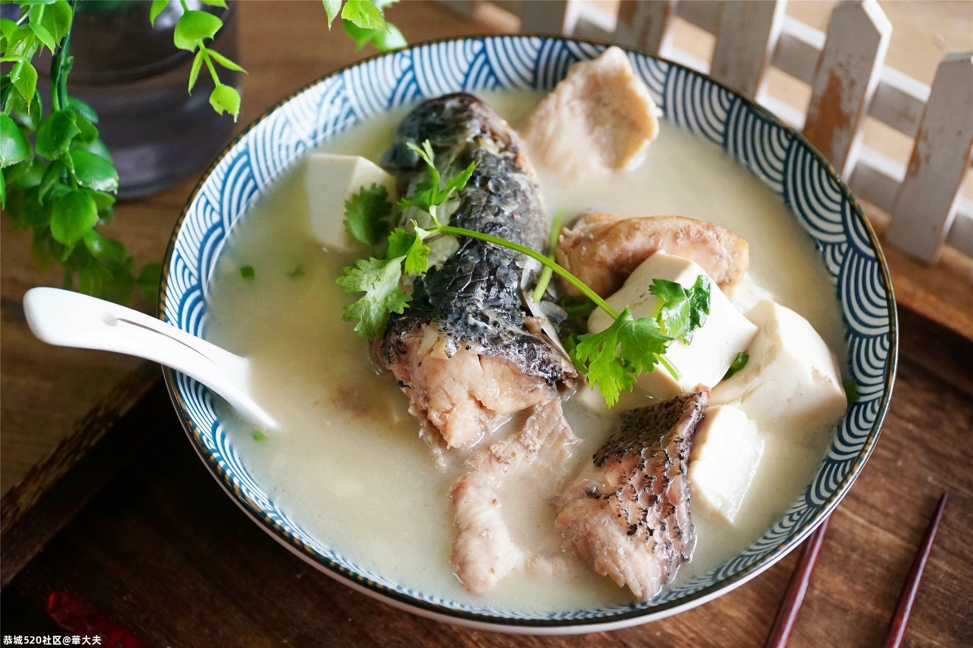 为什么别人熬的鱼汤汤白味鲜？原来是有窍门的！220 / 作者:華大夫 / 帖子ID:278421