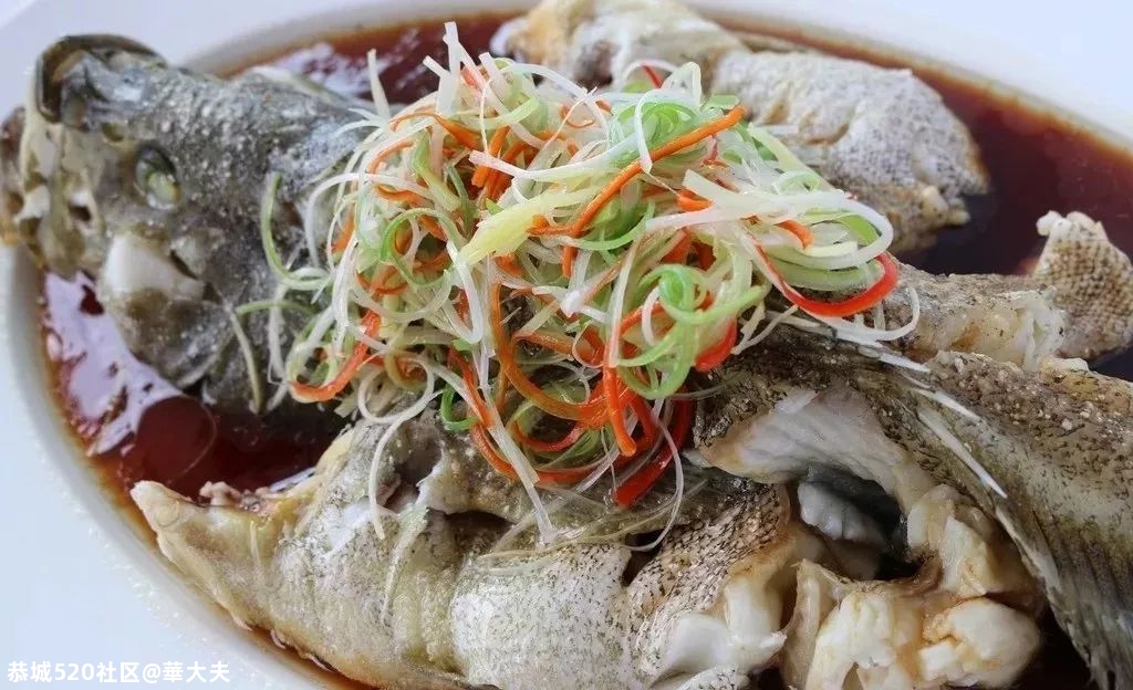为什么别人熬的鱼汤汤白味鲜？原来是有窍门的！911 / 作者:華大夫 / 帖子ID:278421