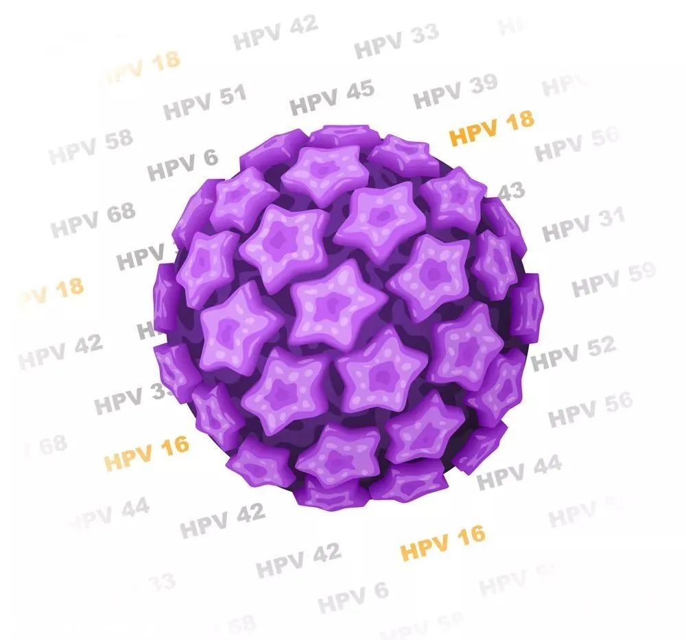 接种 HPV 疫苗前要做检查吗？ 25 个关于 HPV 的常见问题，一篇全解答687 / 作者:等风十里 / 帖子ID:278517
