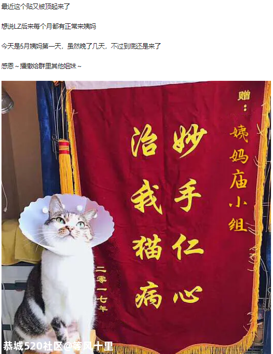 &#8203;互联网上，成千上万女生用玄学“求姨妈准时来”637 / 作者:等风十里 / 帖子ID:278599