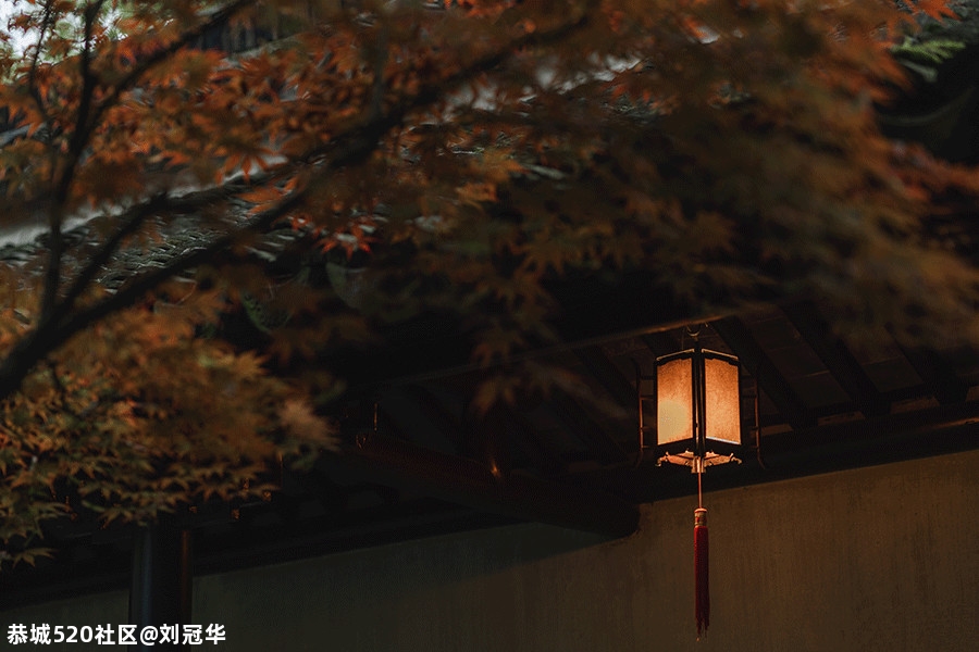 重阳｜来日并不方长，思念地久天长625 / 作者:刘冠华 / 帖子ID:278629