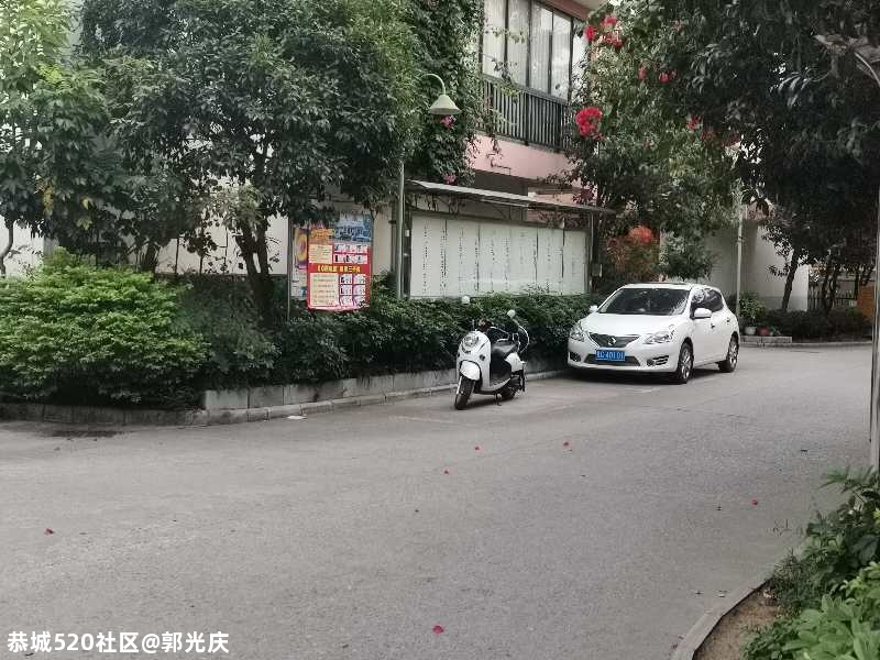 惠丰花园有住别墅区的业主用电动车占停车位。637 / 作者:郭光庆 / 帖子ID:278772