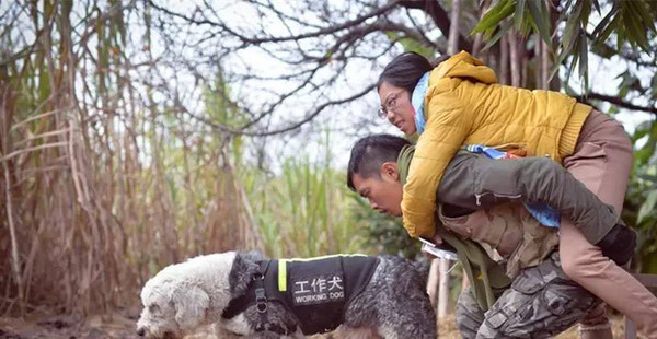 带上200块和一条狗，抱着重病女友环游中国！央视点赞董卿落泪，如今已成这副模样553 / 作者:華大夫 / 帖子ID:278831